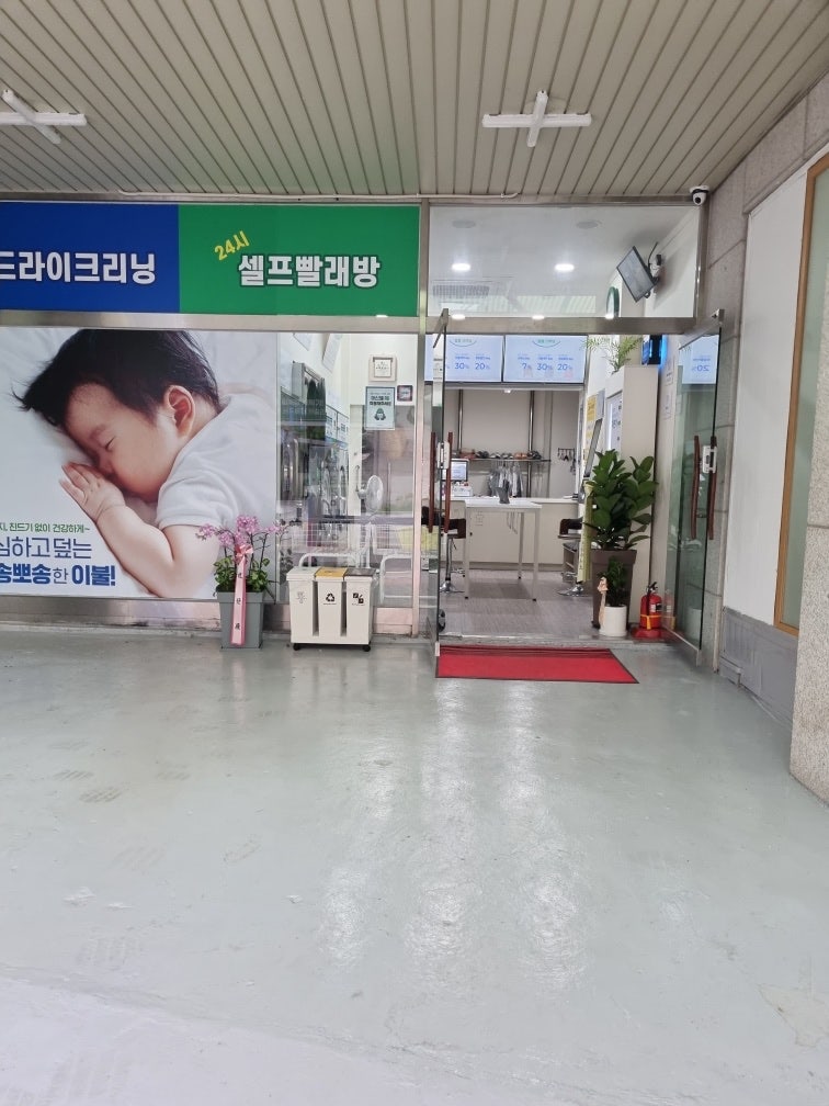 리치워시24 이미지