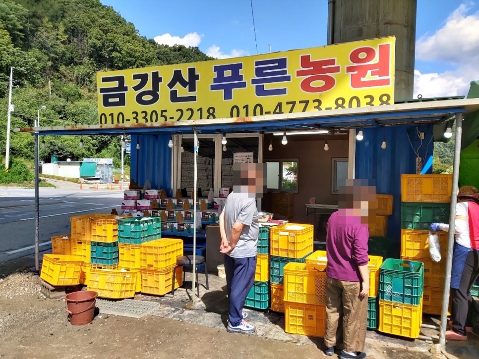 금강산푸른농원 이미지
