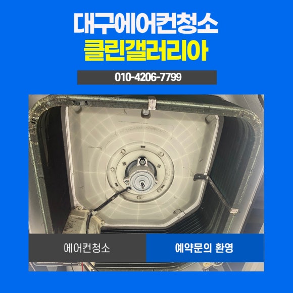 클린갤러리아 이미지