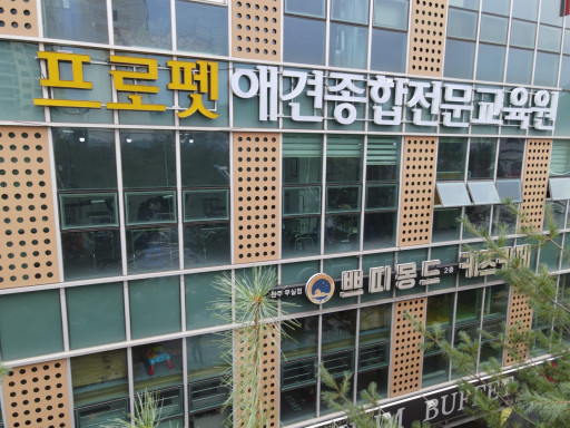 프로펫애견종합전문교육원 이미지
