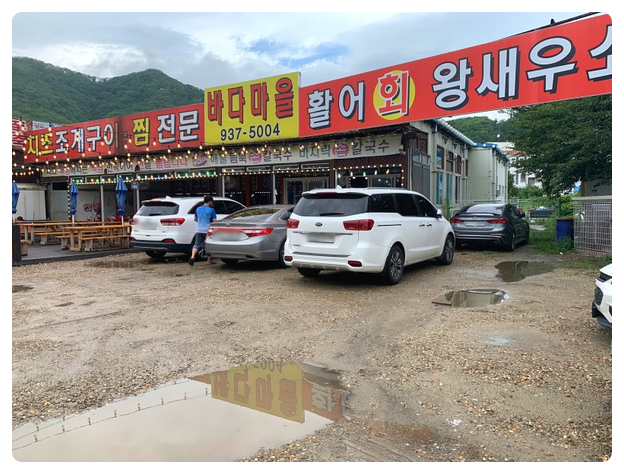 조개바다 이미지