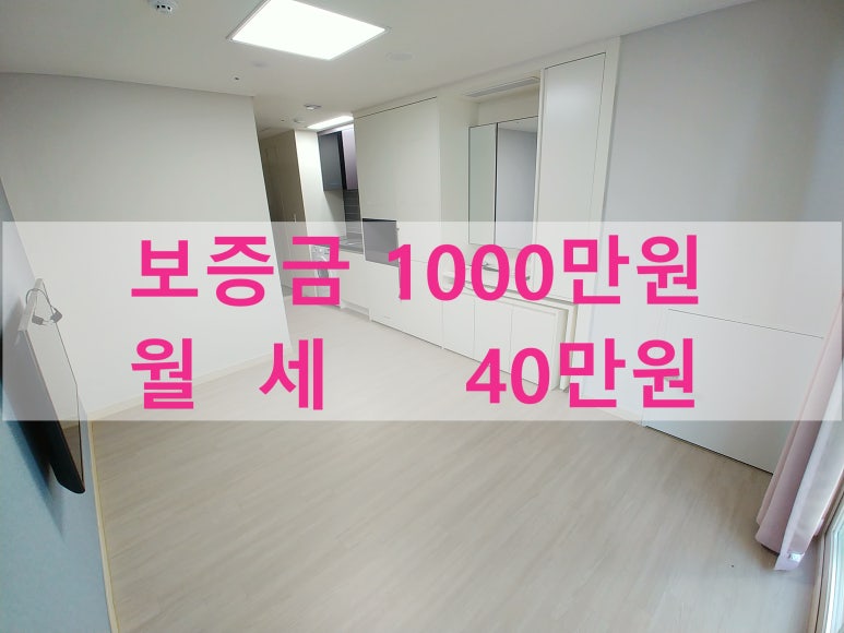 주식회사 라온베이 이미지