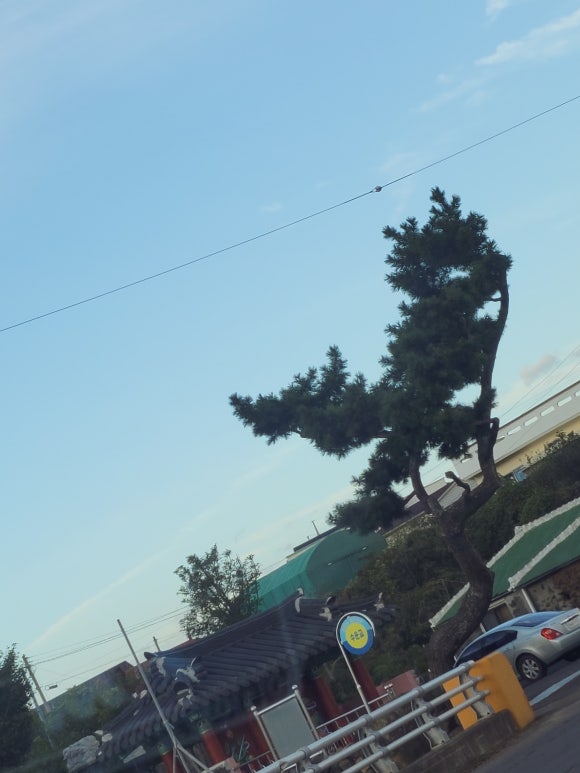 소나무수산 이미지