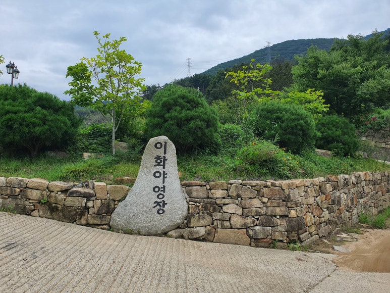 이화야영장 이미지