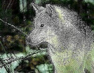 에스티자산관리 이미지