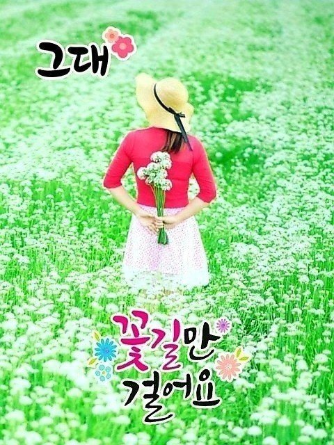 태장고등학교 이미지