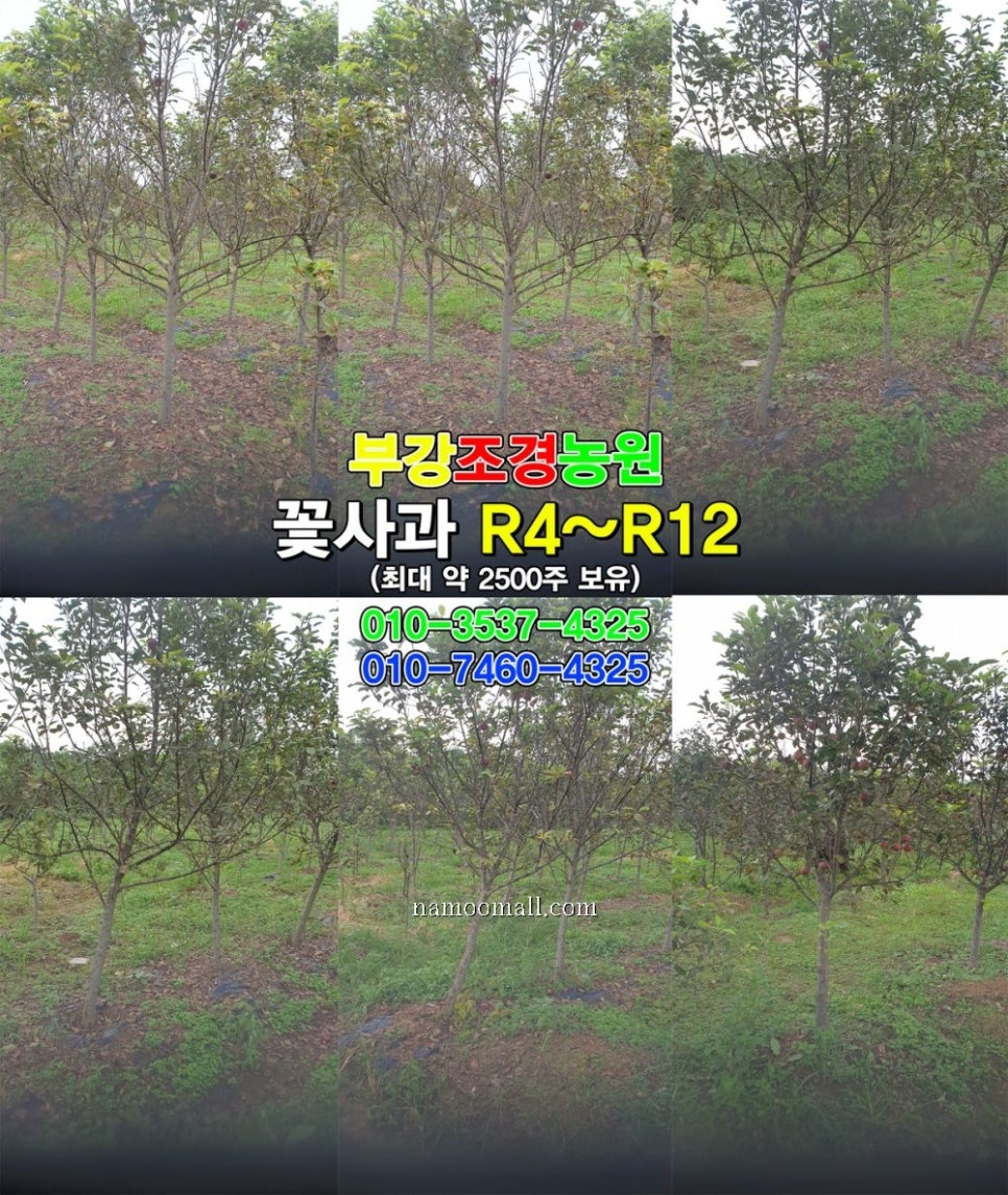 경산에조경농원 이미지