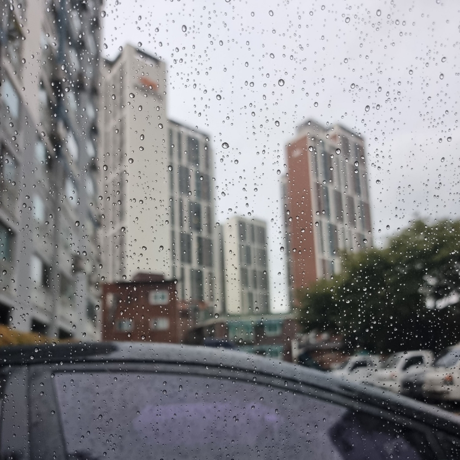 민들레김밥과분식 이미지