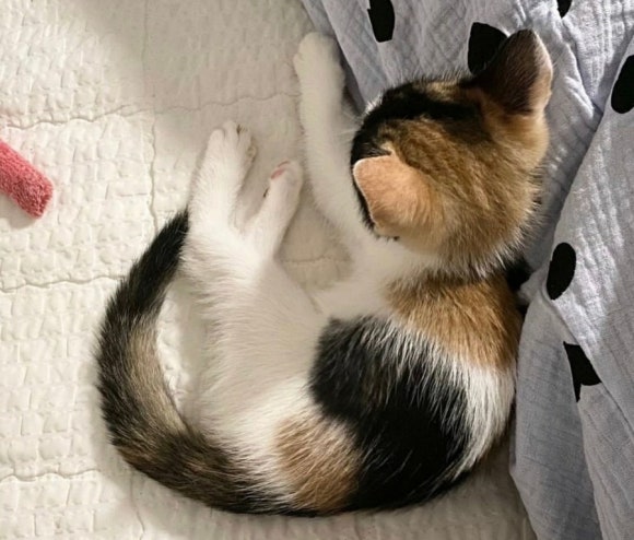 리리사진관 이미지
