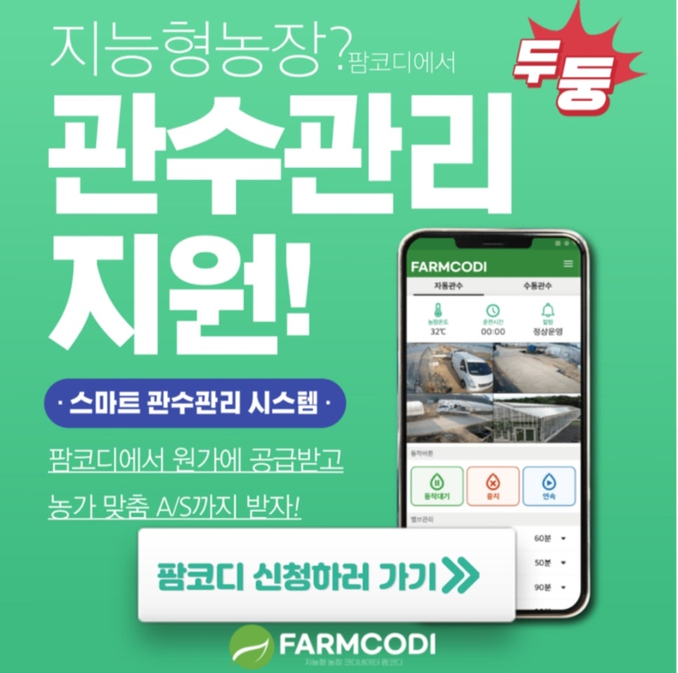 엘이엔티 이미지