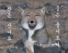 우리하숙 이미지