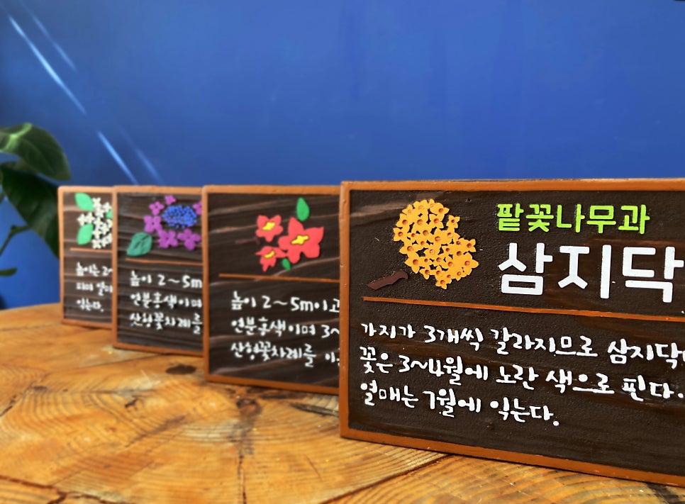 우드퍼블릭 이미지