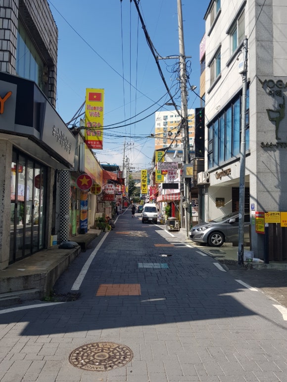 채원김밥 이미지