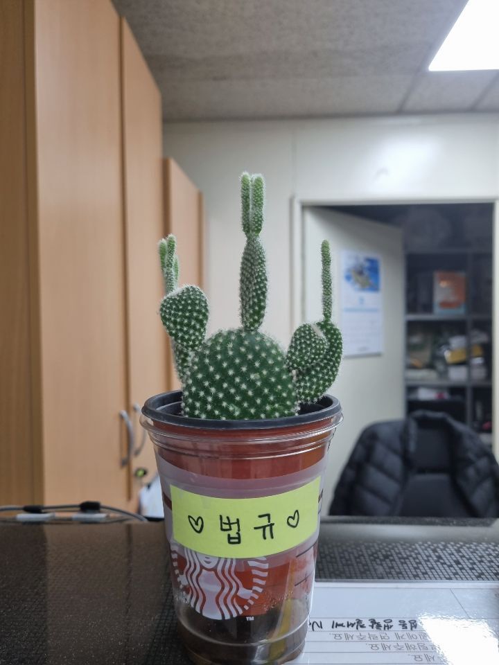 노닥거리 이미지