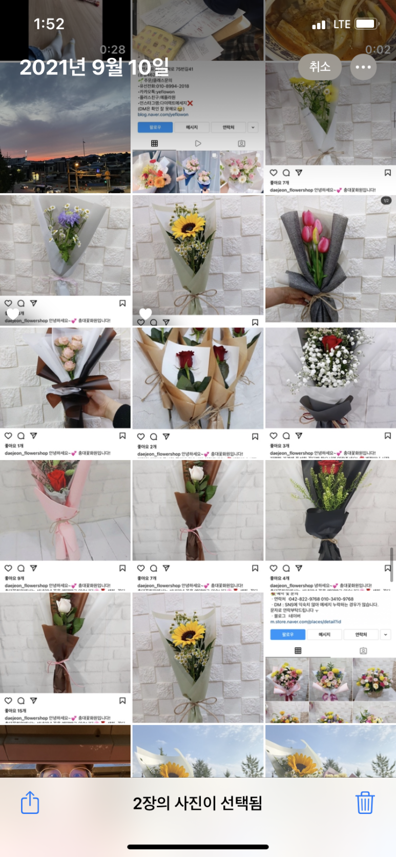 충대꽃화원 이미지