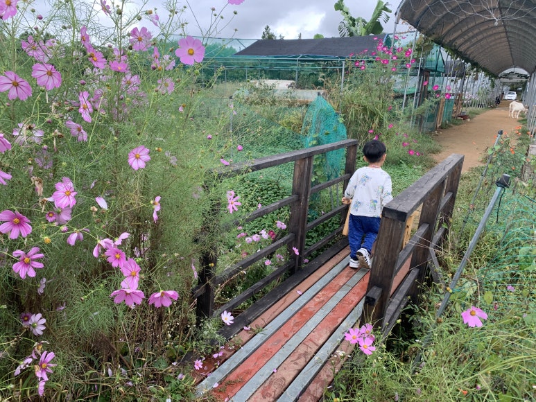 나눔농장 이미지