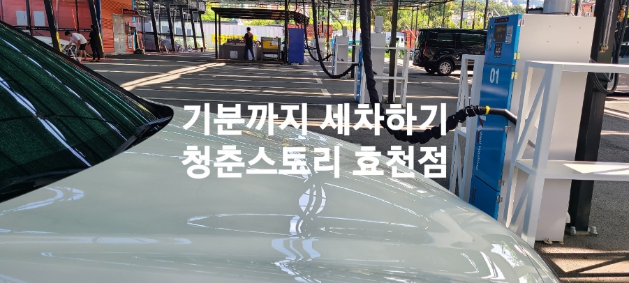 청춘세차장 이미지