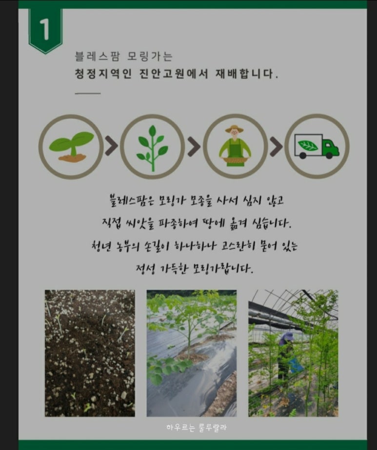 블레스팜 이미지