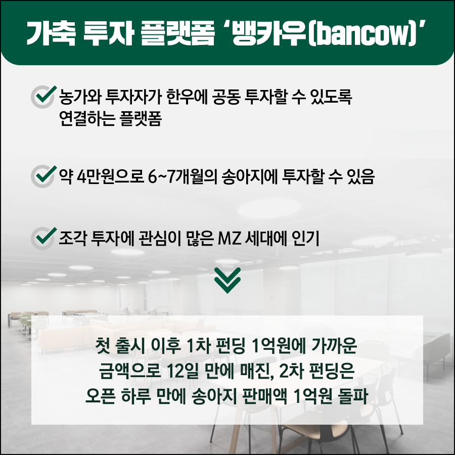 스탁키퍼 이미지