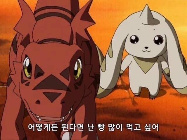 피자피자 사진 5