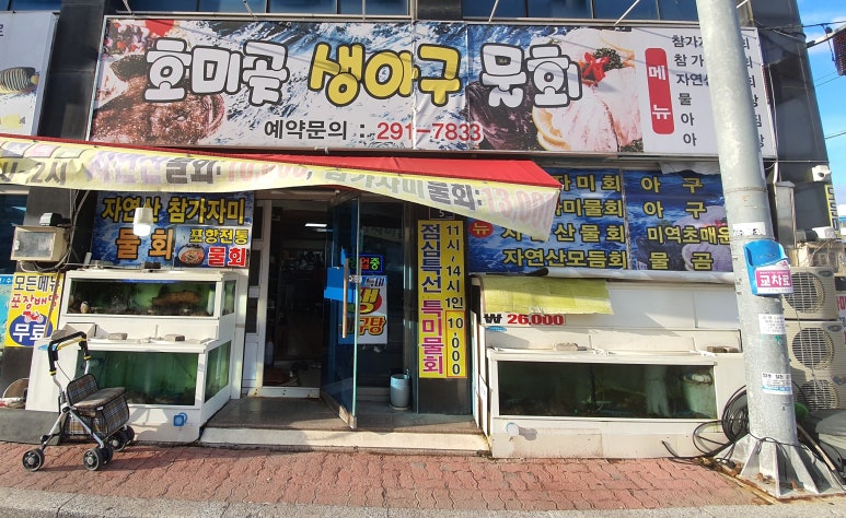 호미곶참가자미 이미지