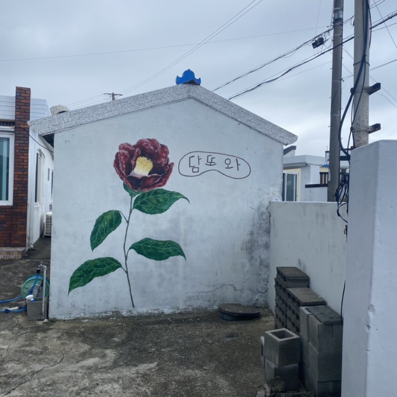 제주담투어 이미지