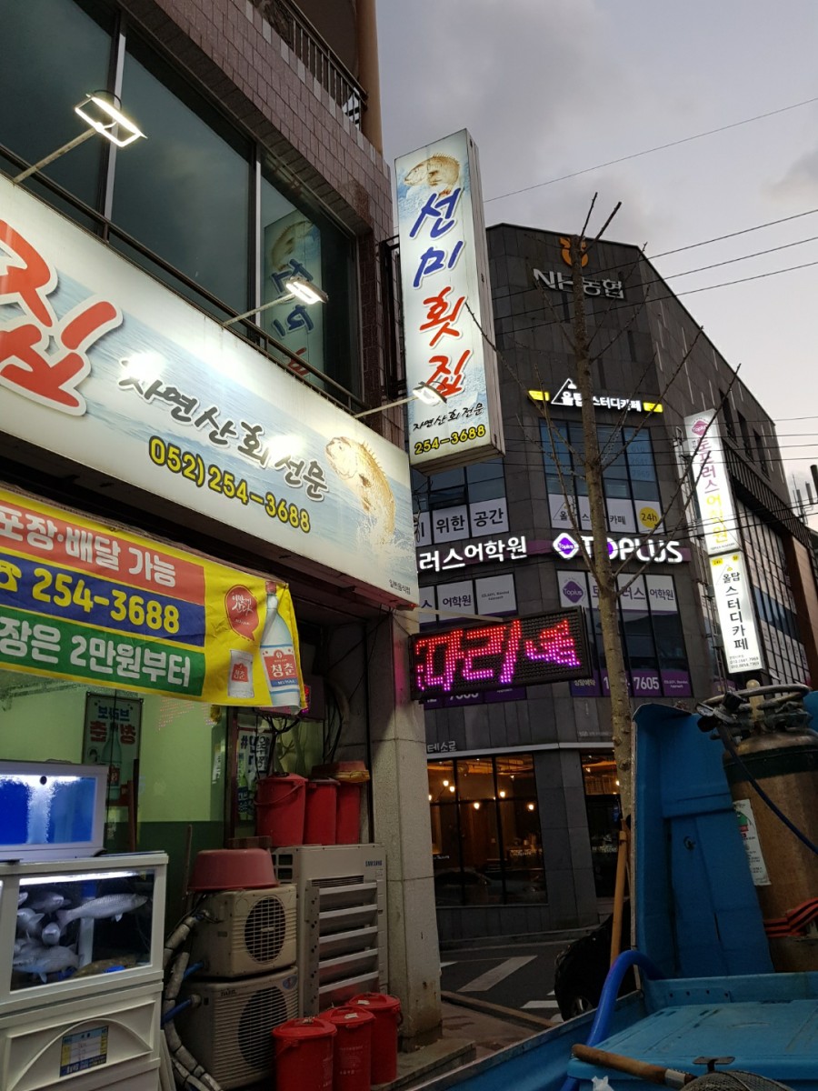 선미횟집 이미지