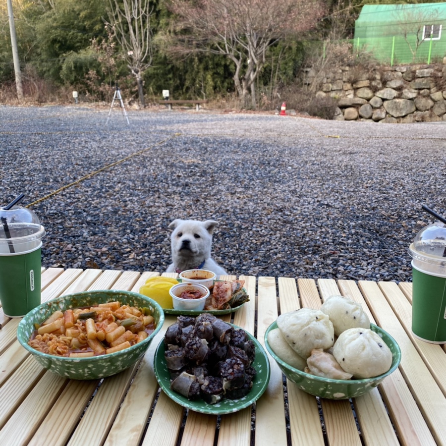뜰안분식 이미지