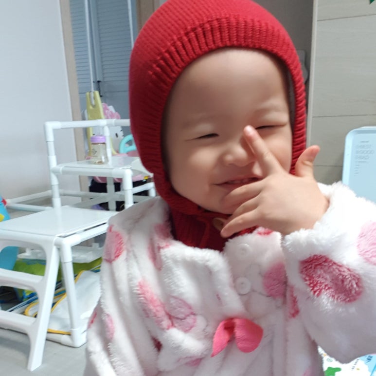 호호트리 이미지