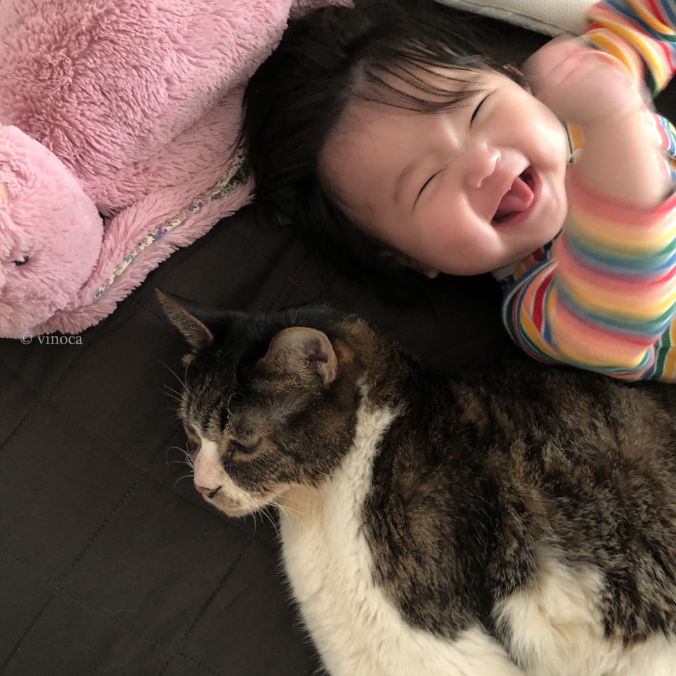 도넛&케이크 이미지