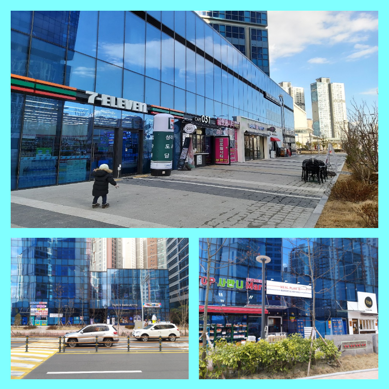 사반니 이미지