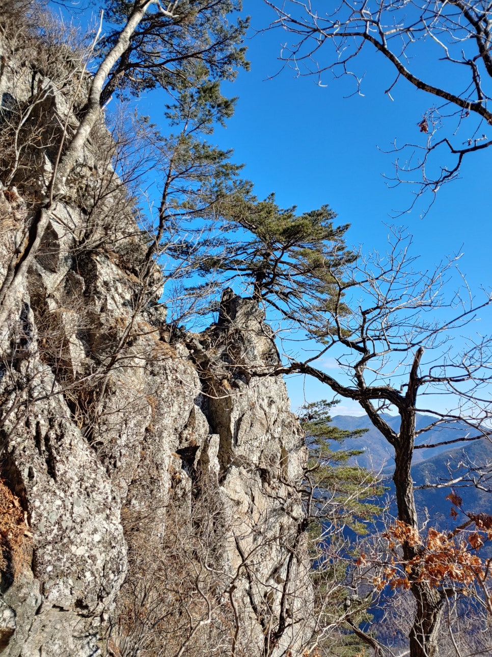 찐노래빠 이미지