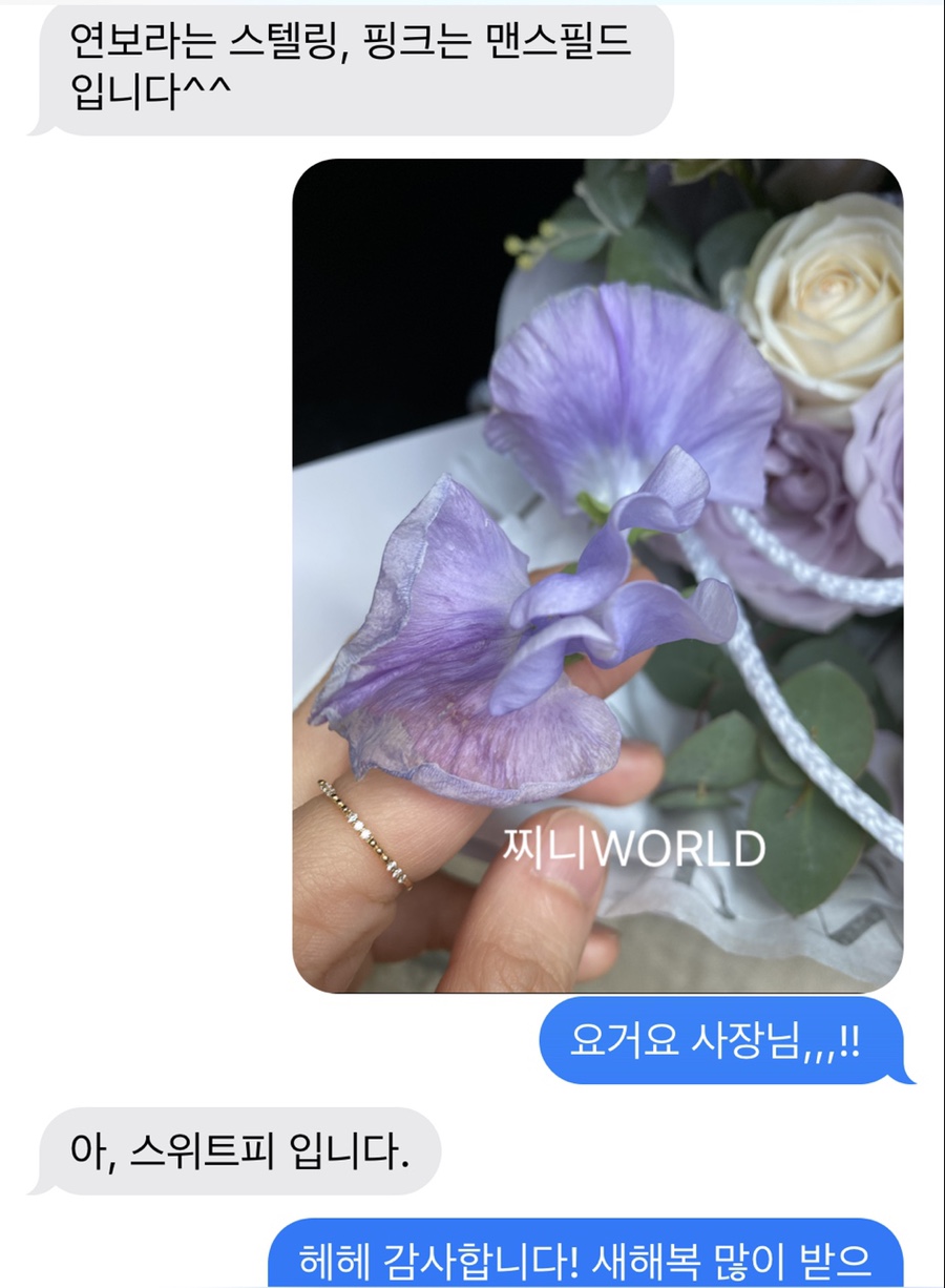 플레르드올리비아 이미지