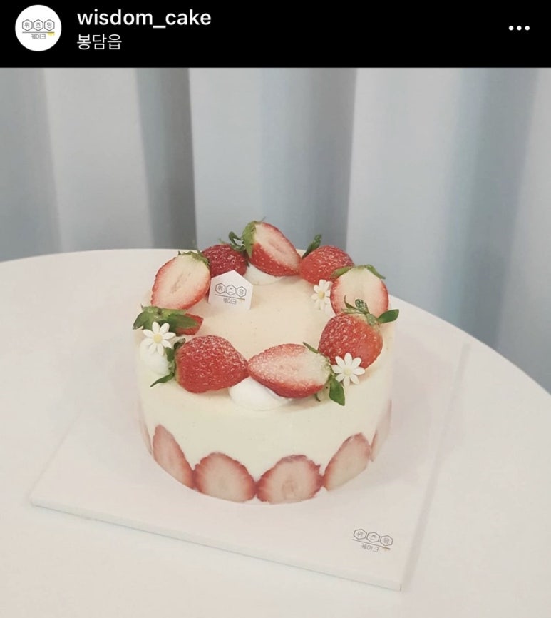 위즈덤케이크 이미지