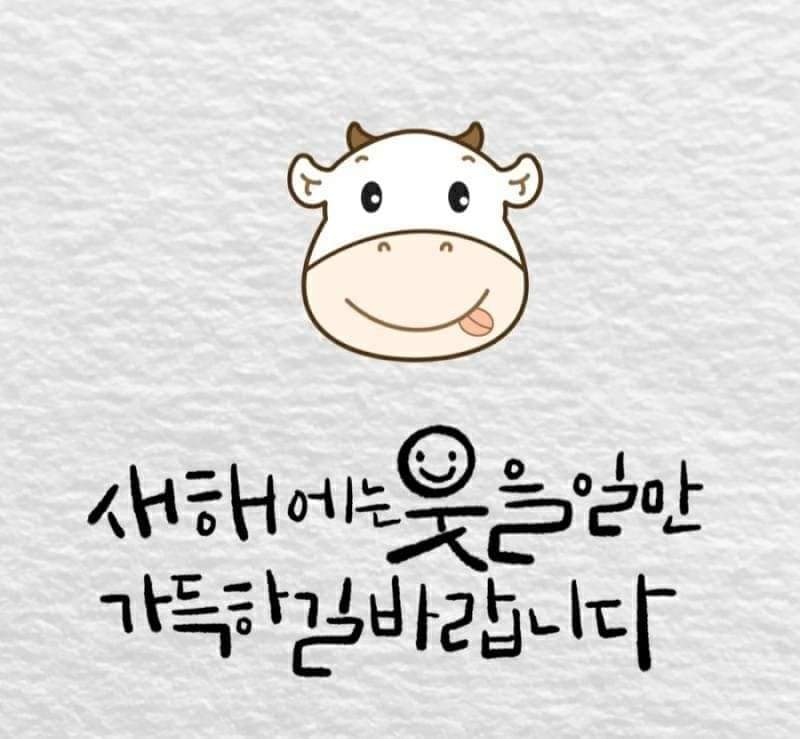 영암가스충전소 이미지