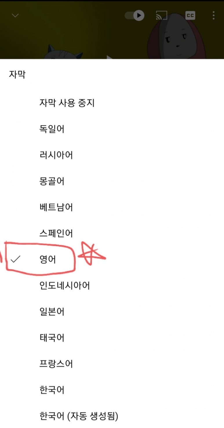 젭스 이미지