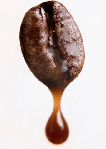 커피이레 이미지