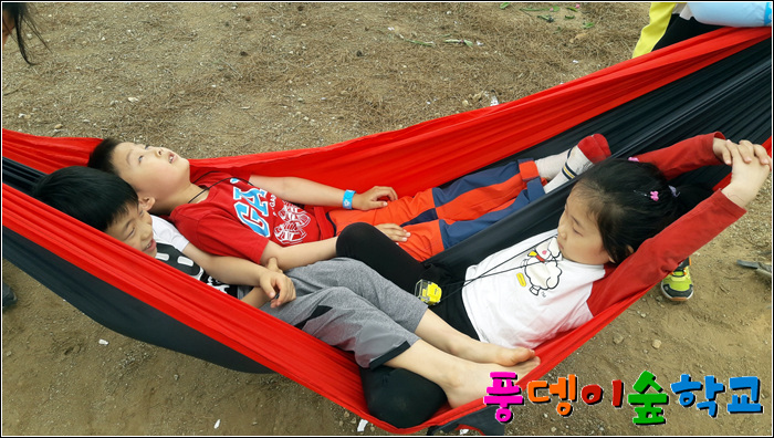 오후의숲 이미지