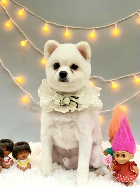 킴스살롱 이미지