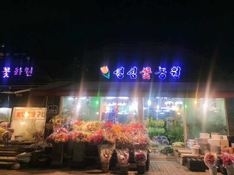 강동꽃농원 이미지