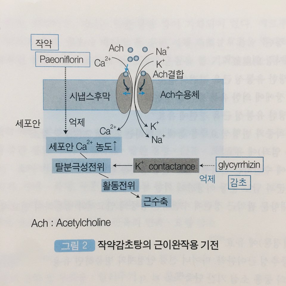 한그루한의원 이미지