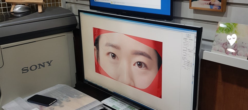 디카사진방 이미지