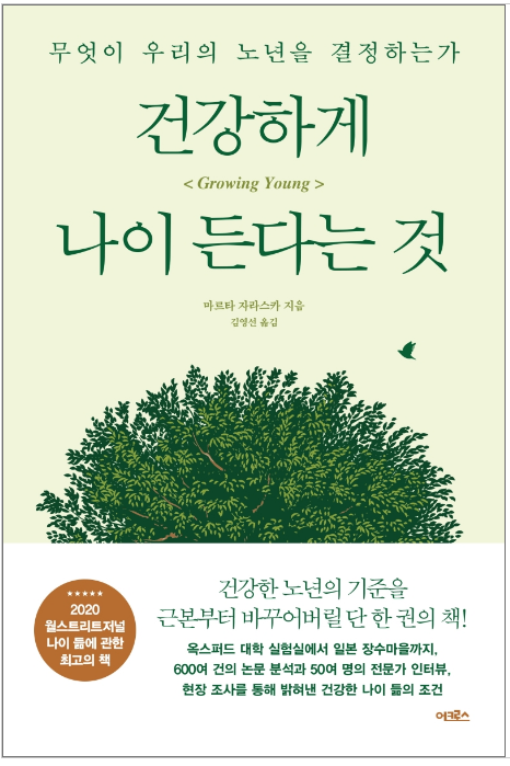 나이스카 이미지