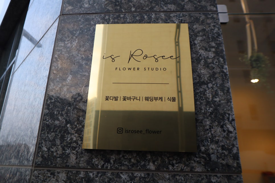 이즈로제 이미지