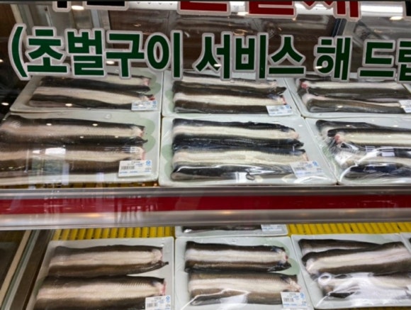금하민물장어 이미지
