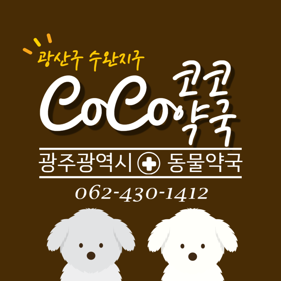 코코약국 이미지
