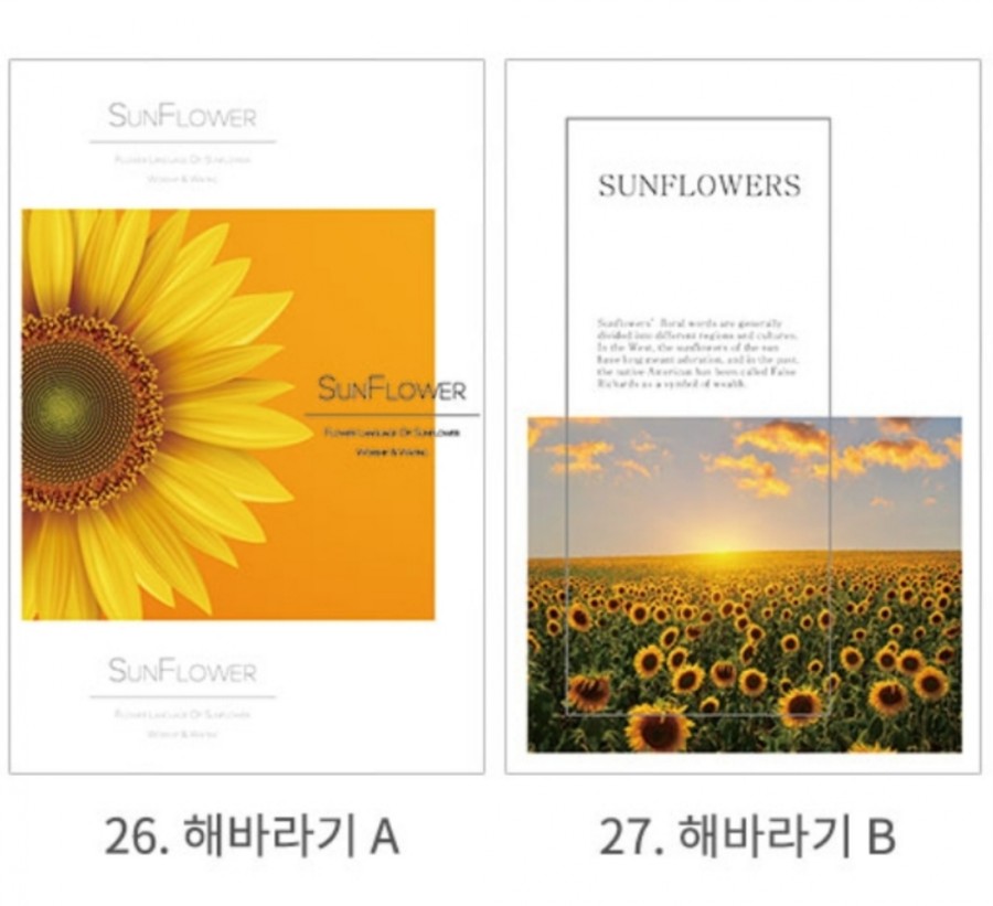 뜰앤플라워 이미지