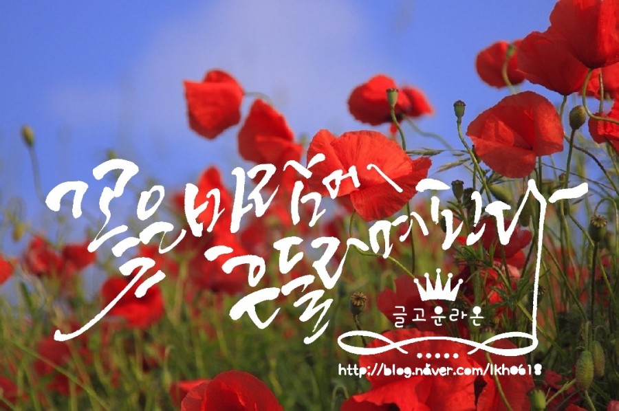 글라온캘리그라피 이미지