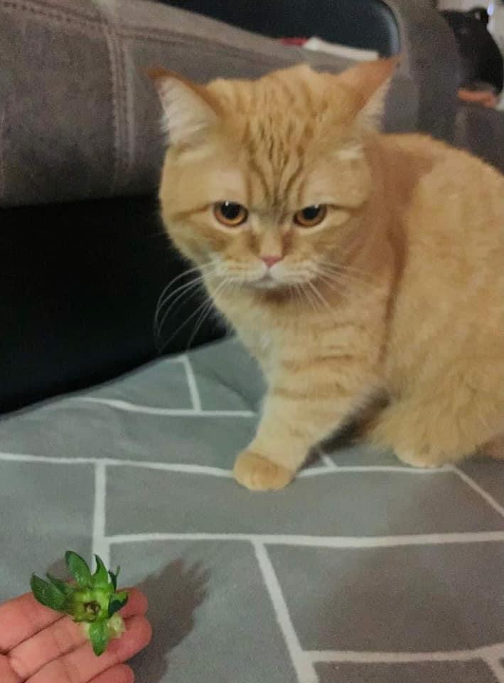 도토 이미지