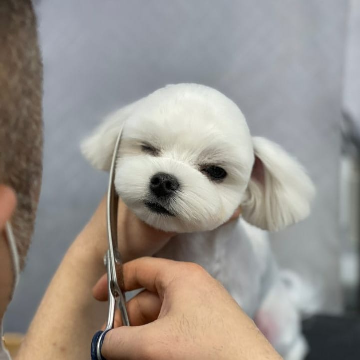 미용타운 이미지